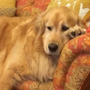 Meet your Posher, Jane